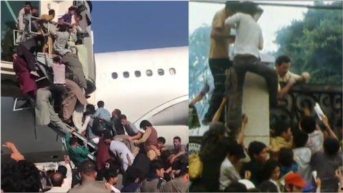 各地民众爆料视频最新版,最新动态一网打尽